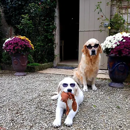 Domaine Du Merlot בית הארחה 4*