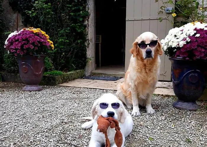 Domaine Du Merlot Gasthof 4*